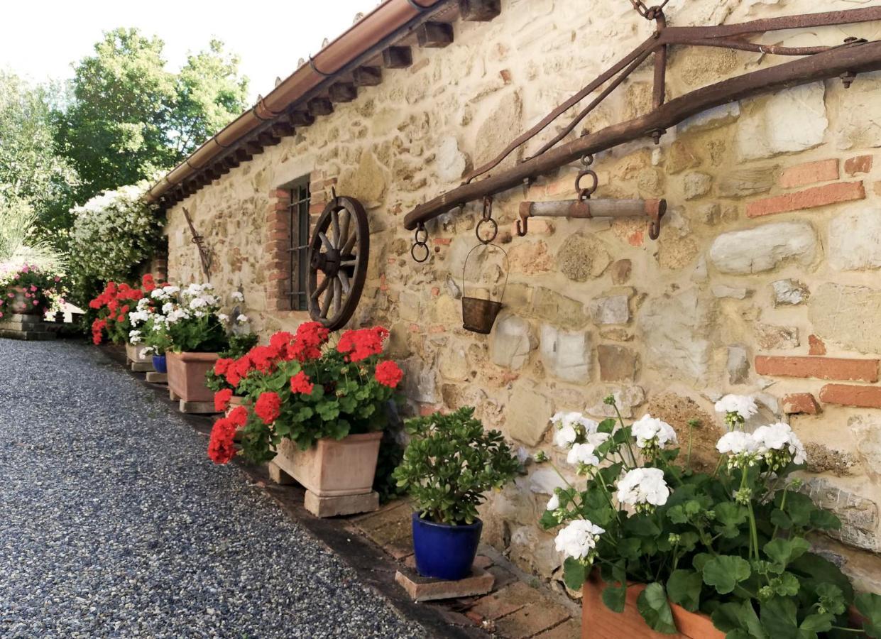 Agriturismo Terenzana Aparthotel Рипарбела Екстериор снимка