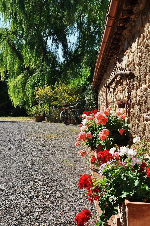 Agriturismo Terenzana Aparthotel Рипарбела Екстериор снимка