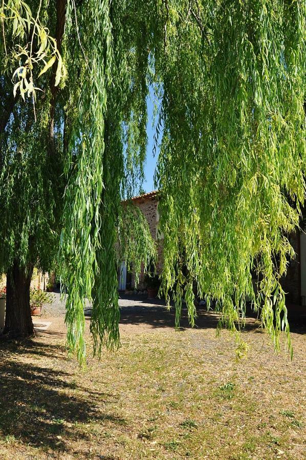 Agriturismo Terenzana Aparthotel Рипарбела Екстериор снимка